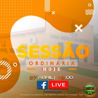 Câmara realiza sessão ordinária por meio de live